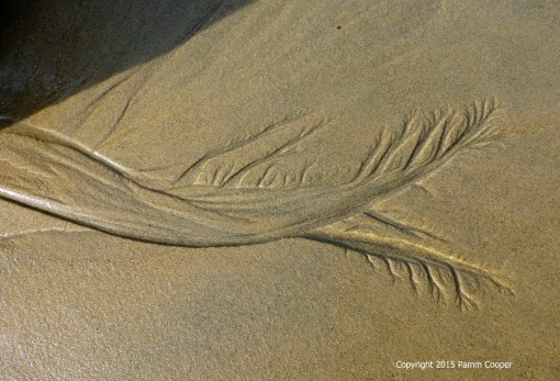 sand sculpted by a wave on Watch Hill beach December 2015