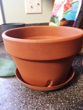 Terracotta with extra holes on bottom edge