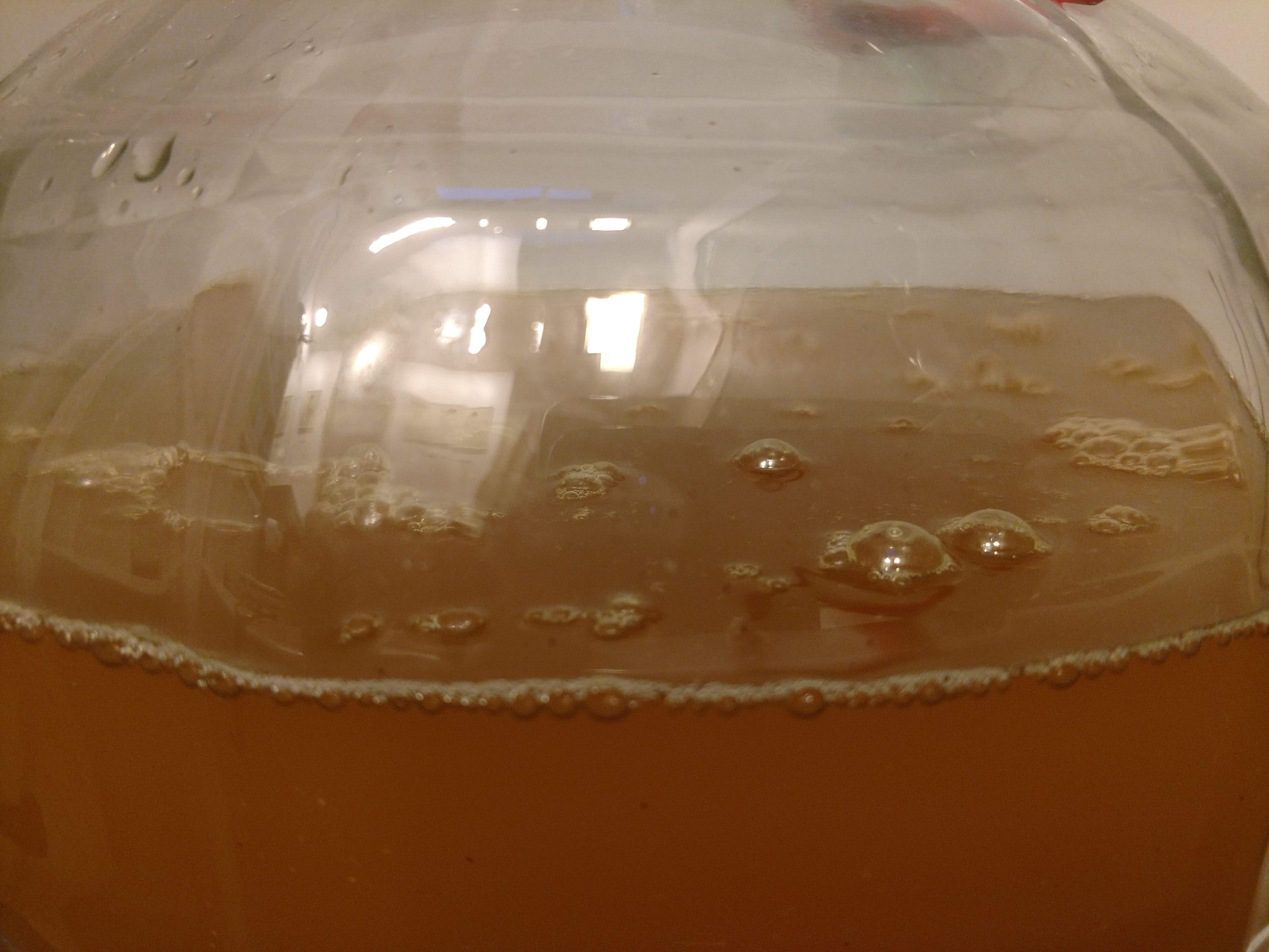 6-fermentation bubbles