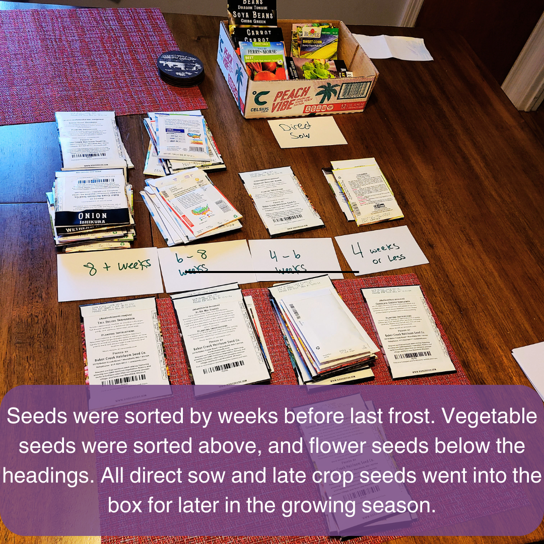 Seeds were sorted by weeks before last frost. Vegetable seeds were sorted above, and flower seeds below the headings. All direct sow and late crop seeds went into a box for later in the growing season. 