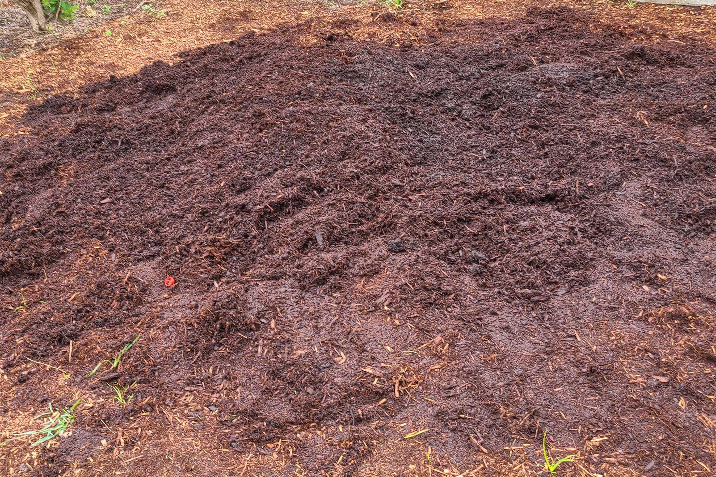 Fresh pile of brown mulch on a landscape bed.